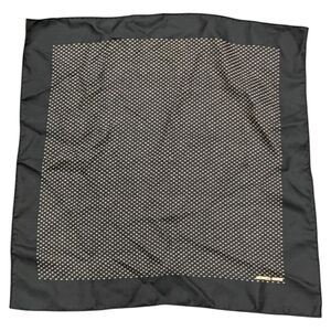 HERMES PARIS Lord y Taylor 100% Silk Pocket Scarf, Hand-Rolled Edges